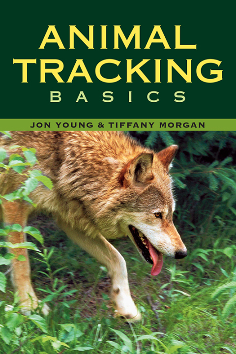 Cover image for book Animal Tracking Basics