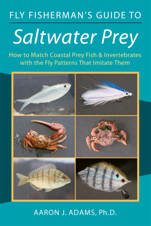 Cover image for book Fly Fisherman's Guide to Saltwater Prey