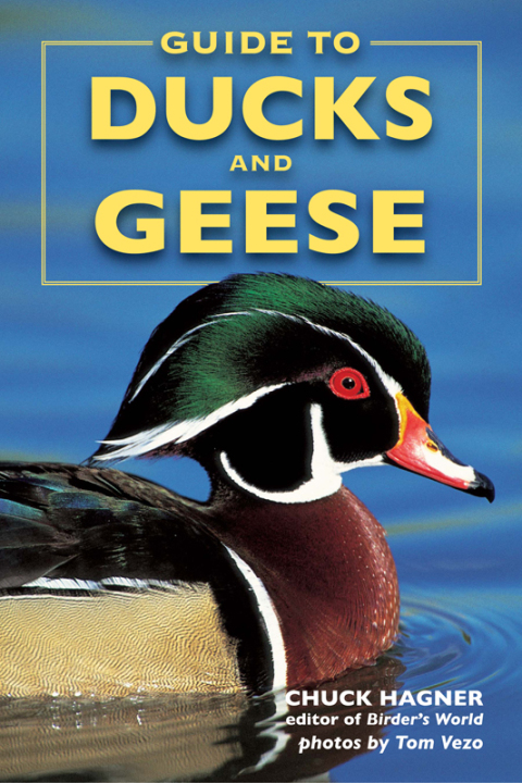 Cover image for book Guide to Ducks and Geese