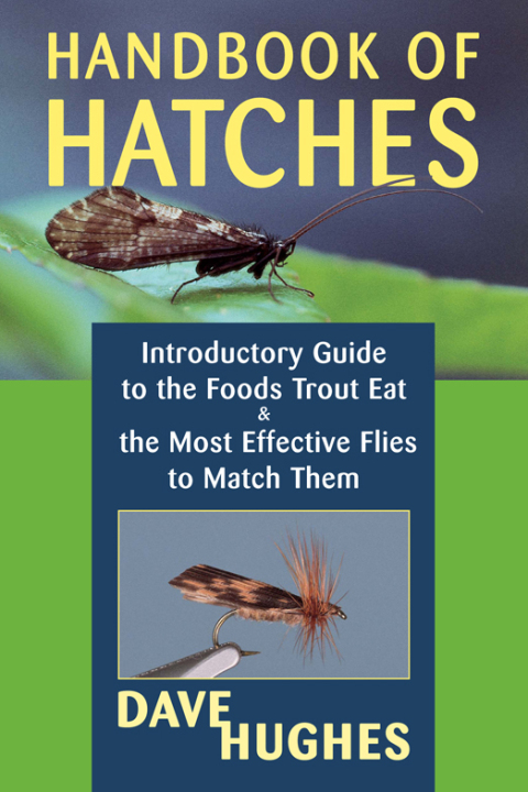Cover image for book Handbook of Hatches