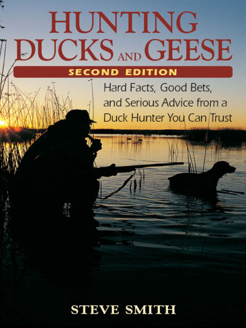 Cover image for book Hunting Ducks and Geese