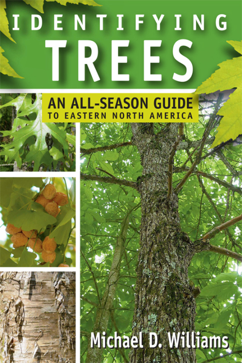 Cover image for book Identifying Trees