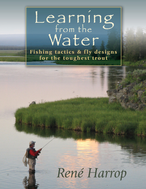 Cover image for book Learning from the Water