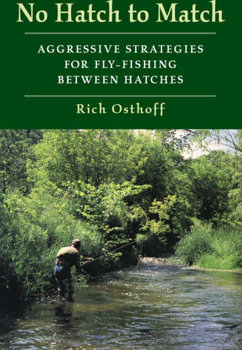 Cover image for book No Hatch to Match