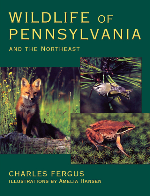 Cover image for book Wildlife of Pennsylvania