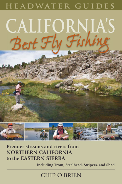 Cover image for book California's Best Fly Fishing