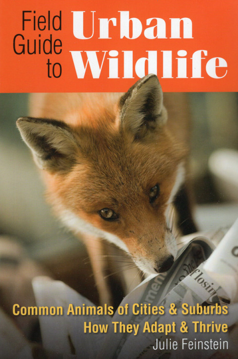 Cover image for book Field Guide to Urban Wildlife