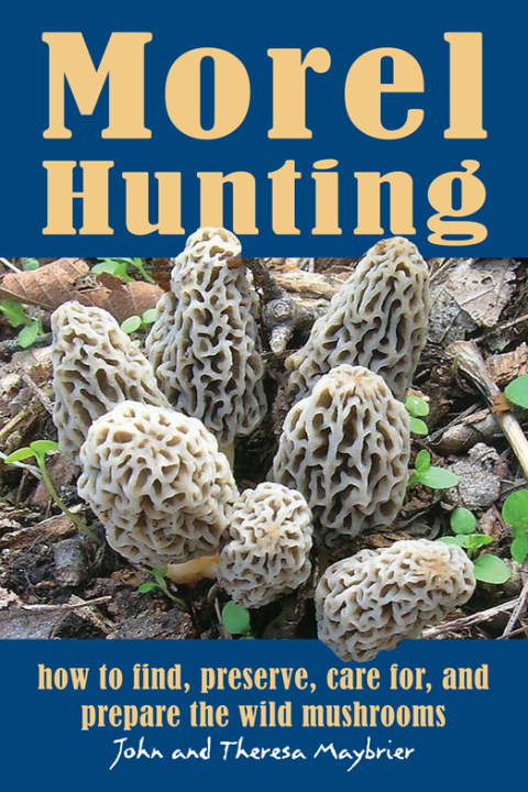 Cover image for book Morel Hunting