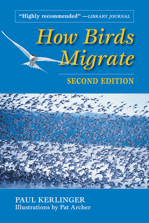 Cover image for book How Birds Migrate