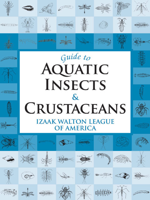 Cover image for book Guide to Aquatic Insects & Crustaceans