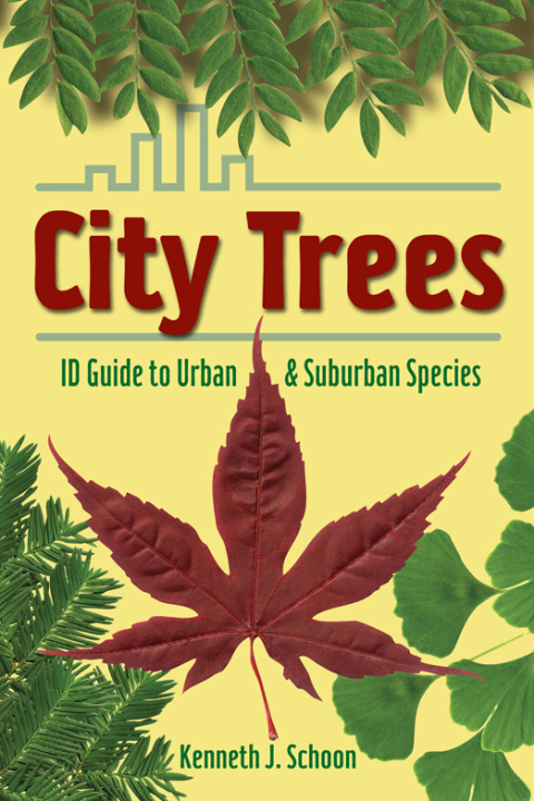 Cover image for book City Trees