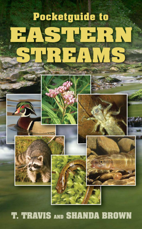 Cover image for book Pocketguide to Eastern Streams