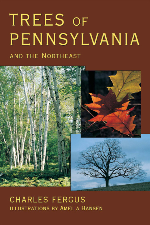 Cover image for book Trees of Pennsylvania