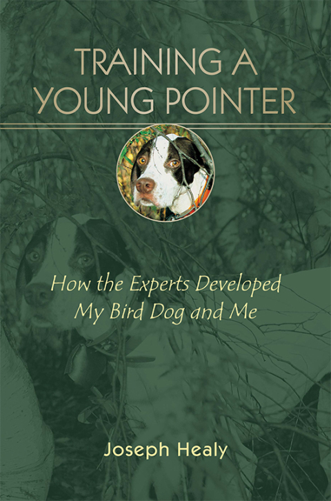 Cover image for book Training a Young Pointer