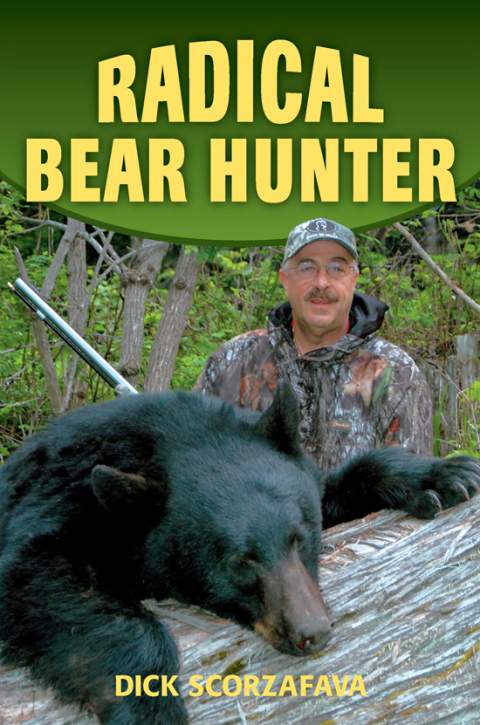 Cover image for book Radical Bear Hunter