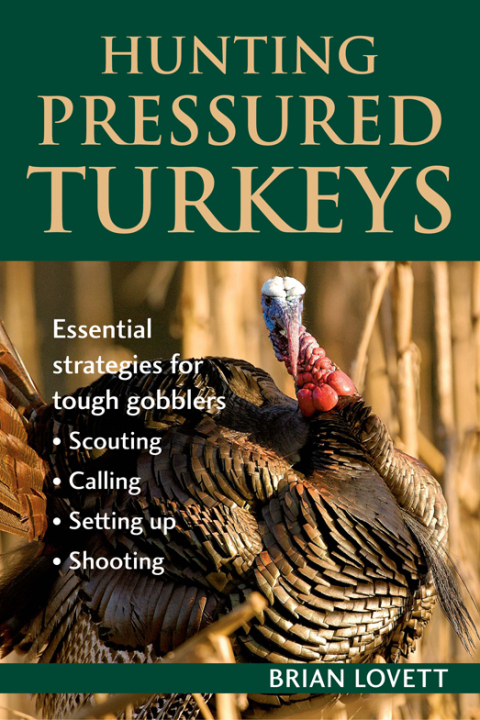 Cover image for book Hunting Pressured Turkeys