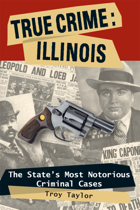 True Crime: Illinois 