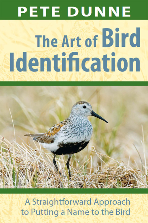 Cover image for book Art of Bird Identification