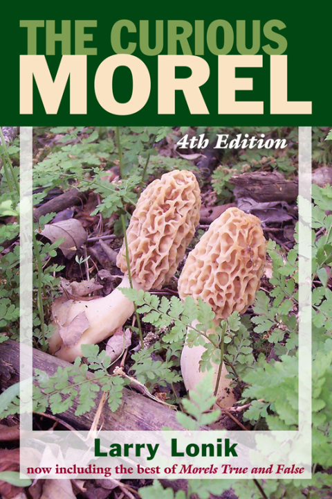 Cover image for book Curious Morel