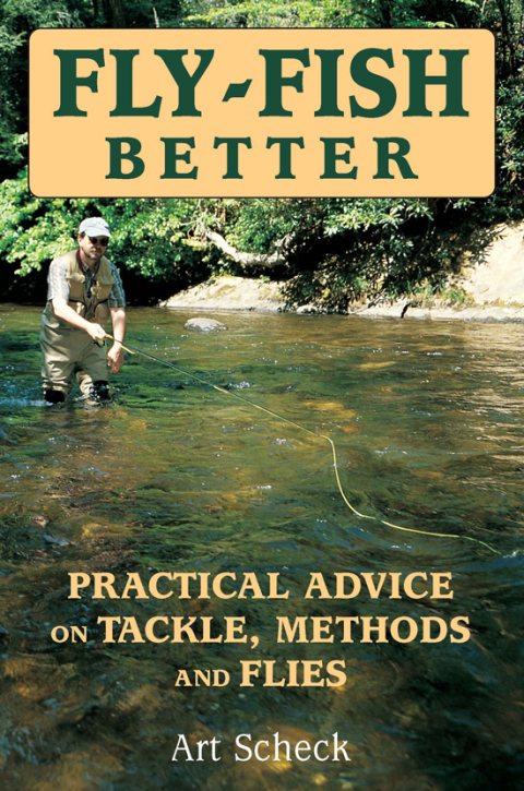 Cover image for book Fly-Fish Better