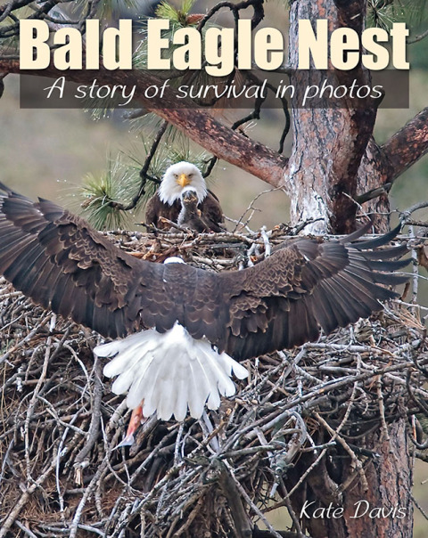 Bald Eagle Nest 