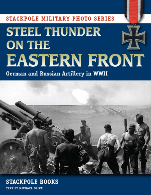 Cover image for book Steel Thunder on the Eastern Front