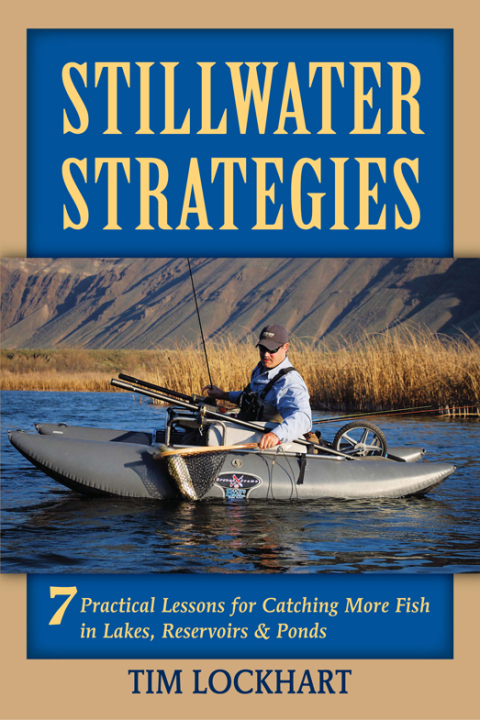 Cover image for book Stillwater Strategies