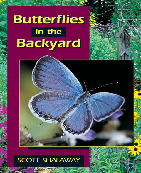 Cover image for book Butterflies in the Backyard