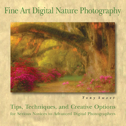Cover image for book Fine Art Digital Nature Photography
