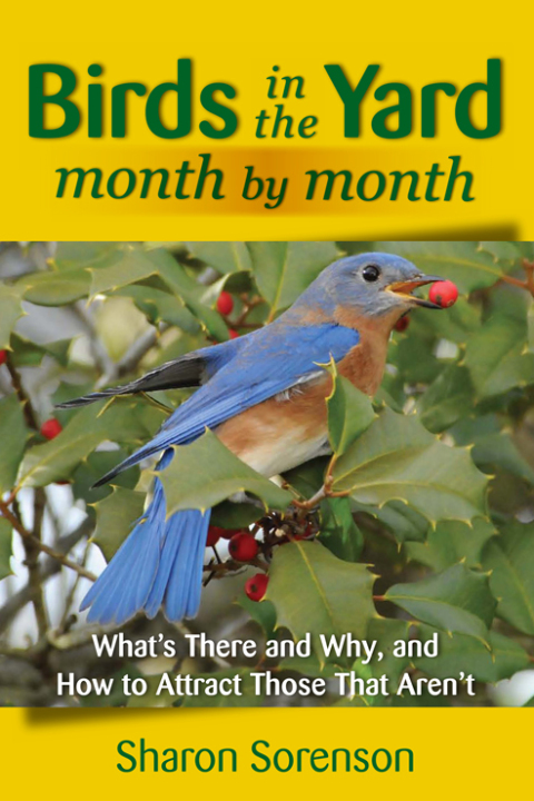 Cover image for book Birds in the Yard Month by Month
