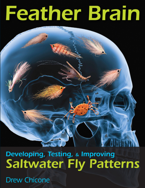 Cover image for book Feather Brain