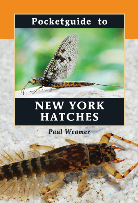 Cover image for book Pocketguide to New York Hatches