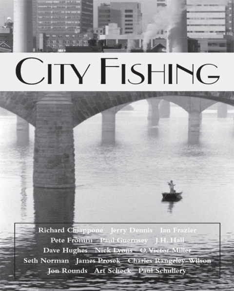 Cover image for book City Fishing