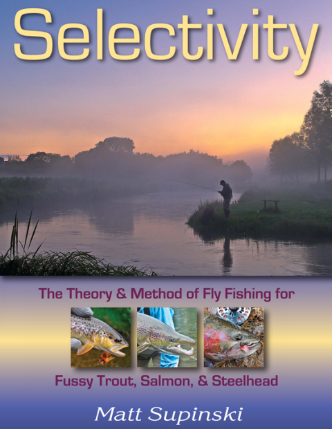 Cover image for book Selectivity