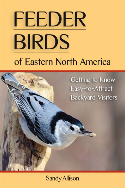 Cover image for book Feeder Birds of Eastern North America