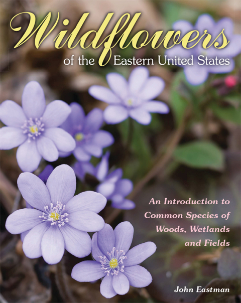 Cover image for book Wildflowers of the Eastern United States
