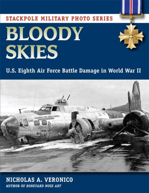 Cover image for book Bloody Skies