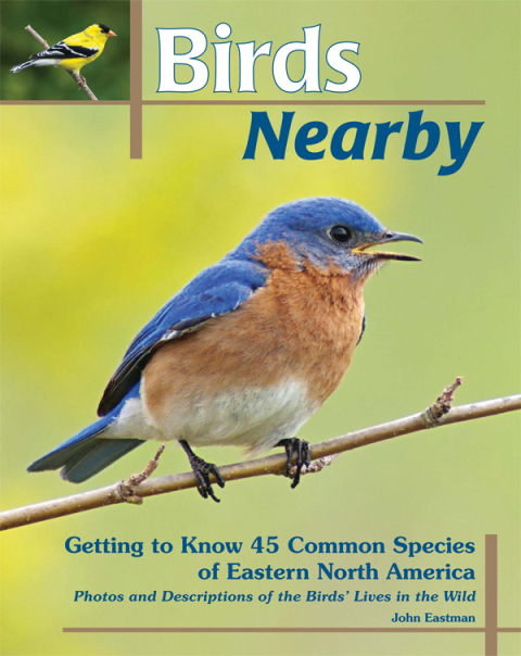 Cover image for book Birds Nearby