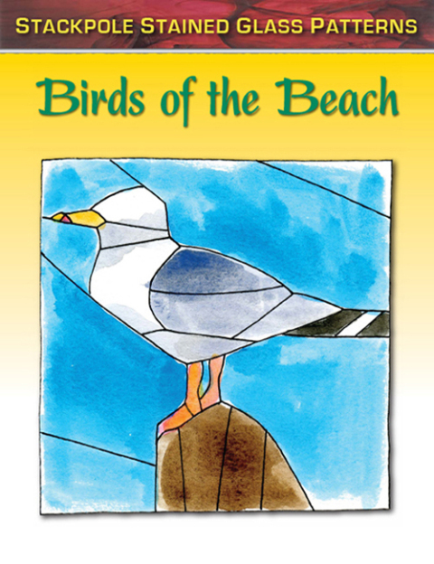 Cover image for book Birds of the Beach