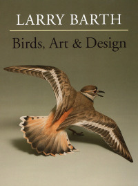 Cover image: Birds, Art & Design 9780811713597