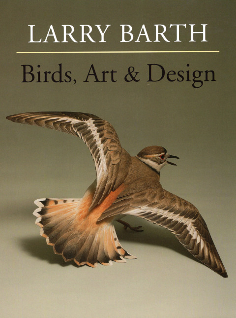 Cover image for book Birds, Art & Design