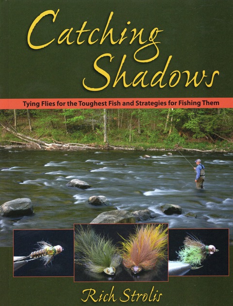 Cover image for book Catching Shadows