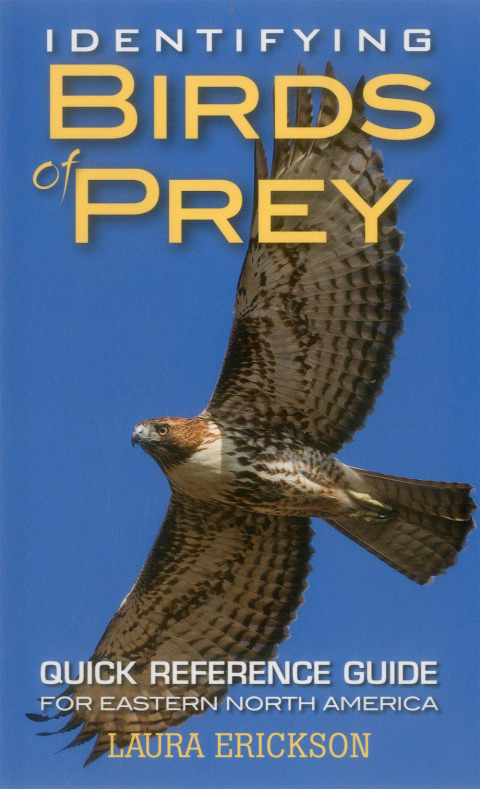 Cover image for book Identifying Birds of Prey