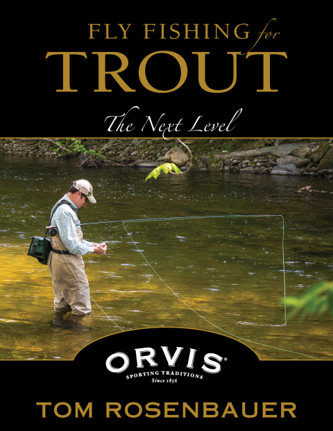 Fly Fishing for Trout 