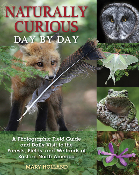 Cover image for book Naturally Curious Day by Day