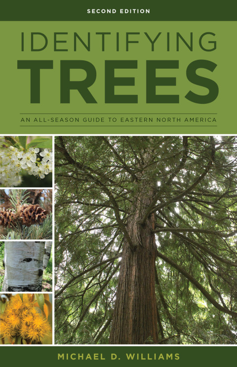 Cover image for book Identifying Trees of the East