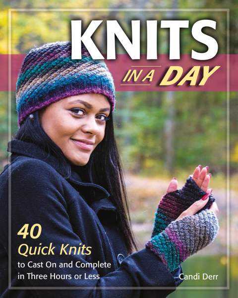Cover image for book Knits in a Day