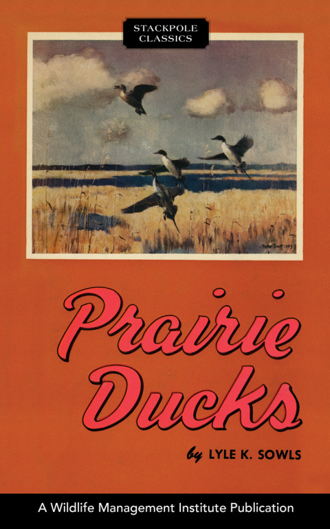 Cover image for book Prairie Ducks