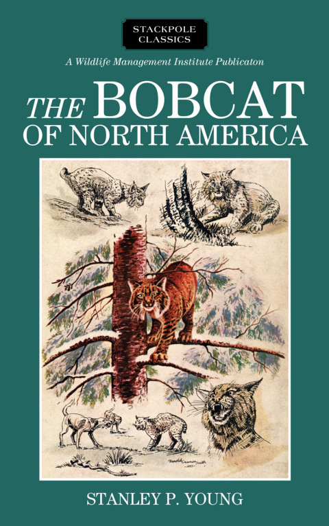 Cover image for book Bobcat of North America
