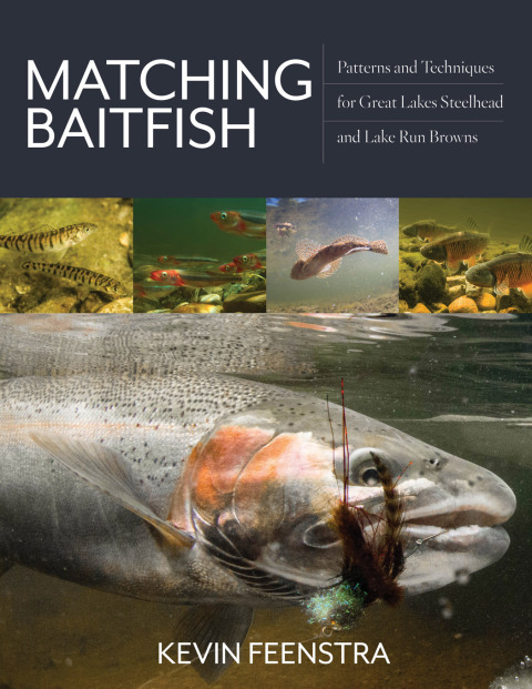 Cover image for book Matching Baitfish